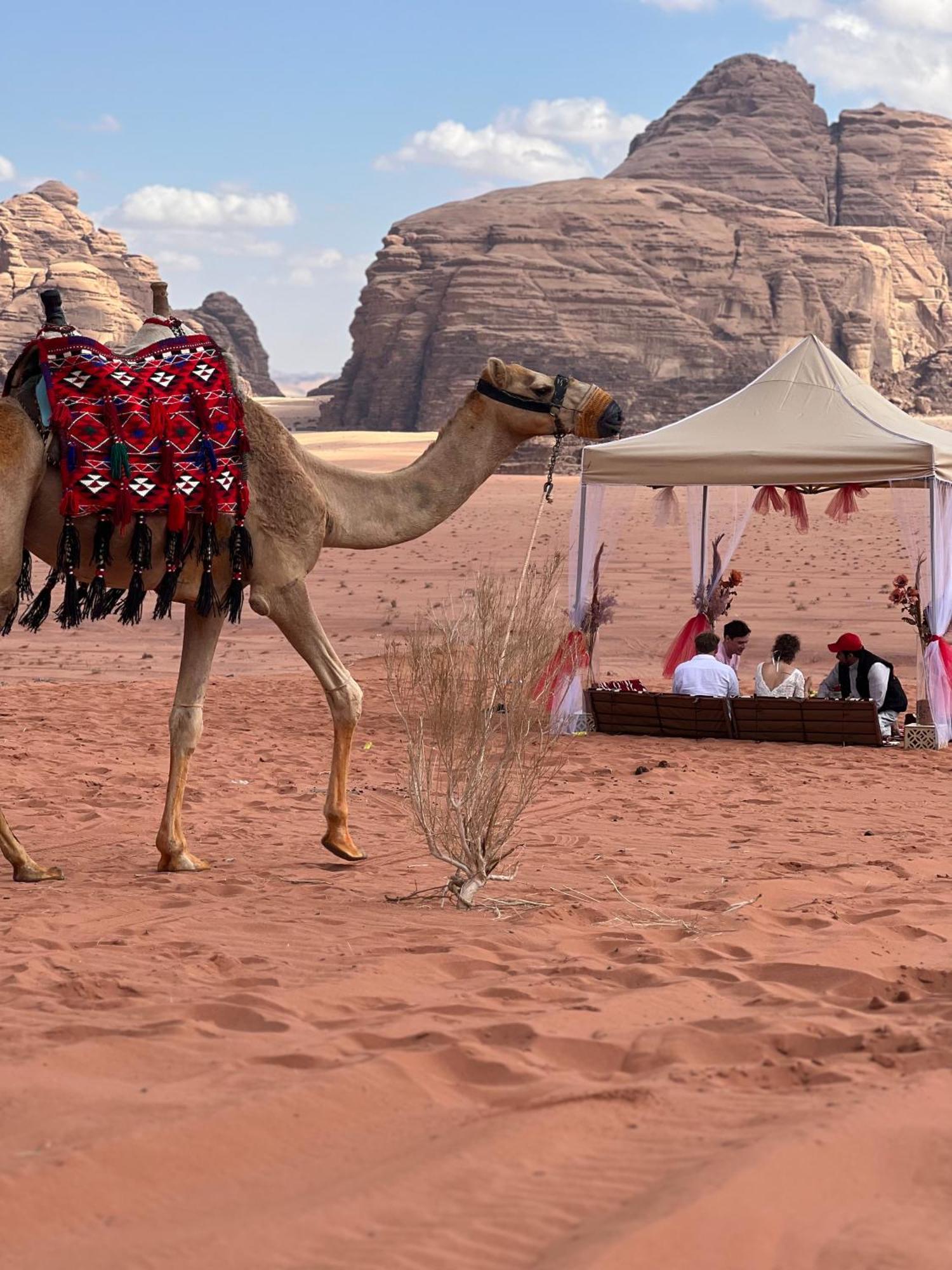 Moon Magic Valley Apartment Wadi Rum Exterior photo