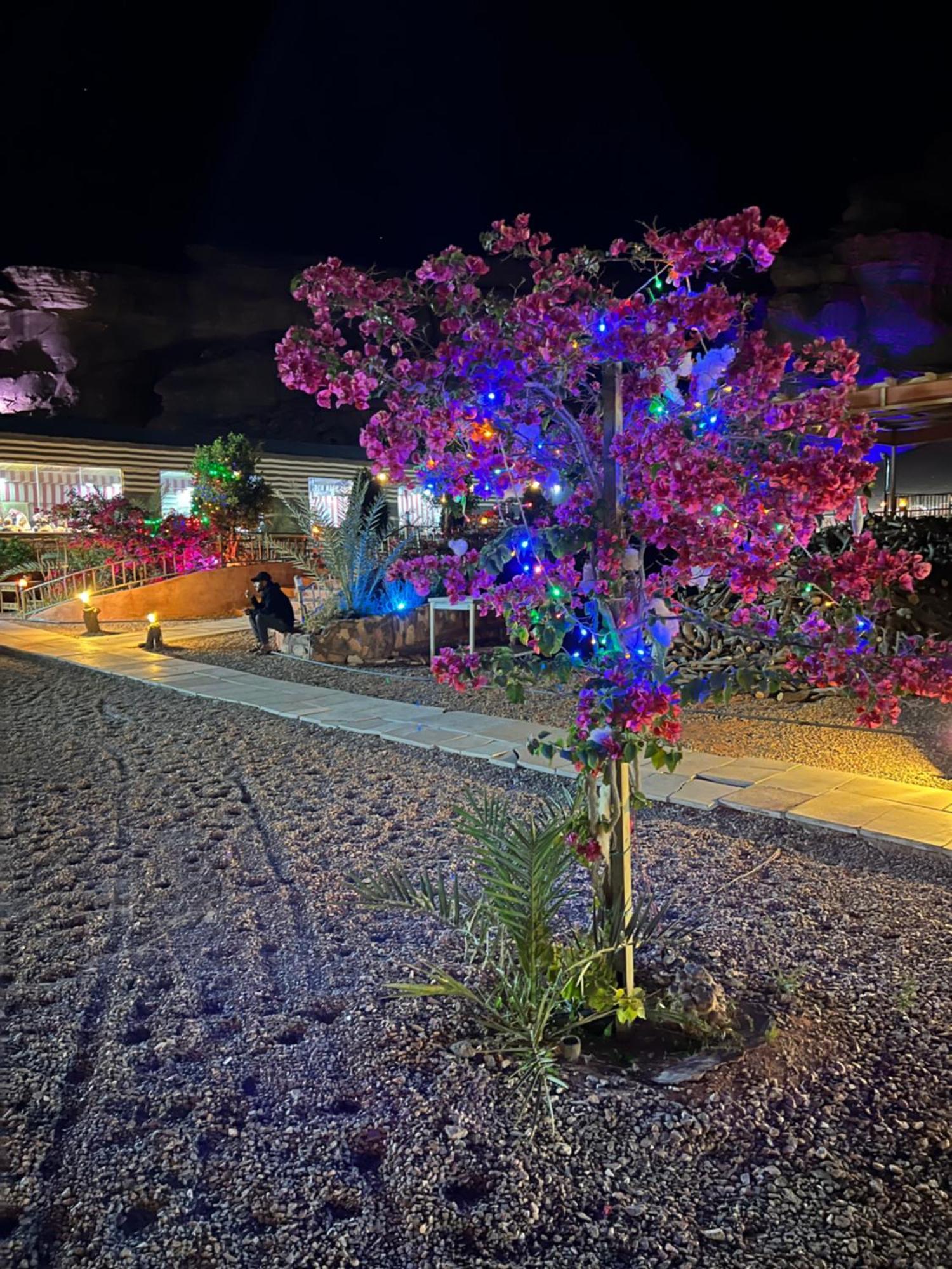 Moon Magic Valley Apartment Wadi Rum Exterior photo